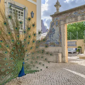 Solar Do Castelo - Heritage Collection - Alfama 4*, Lisbona Portogallo